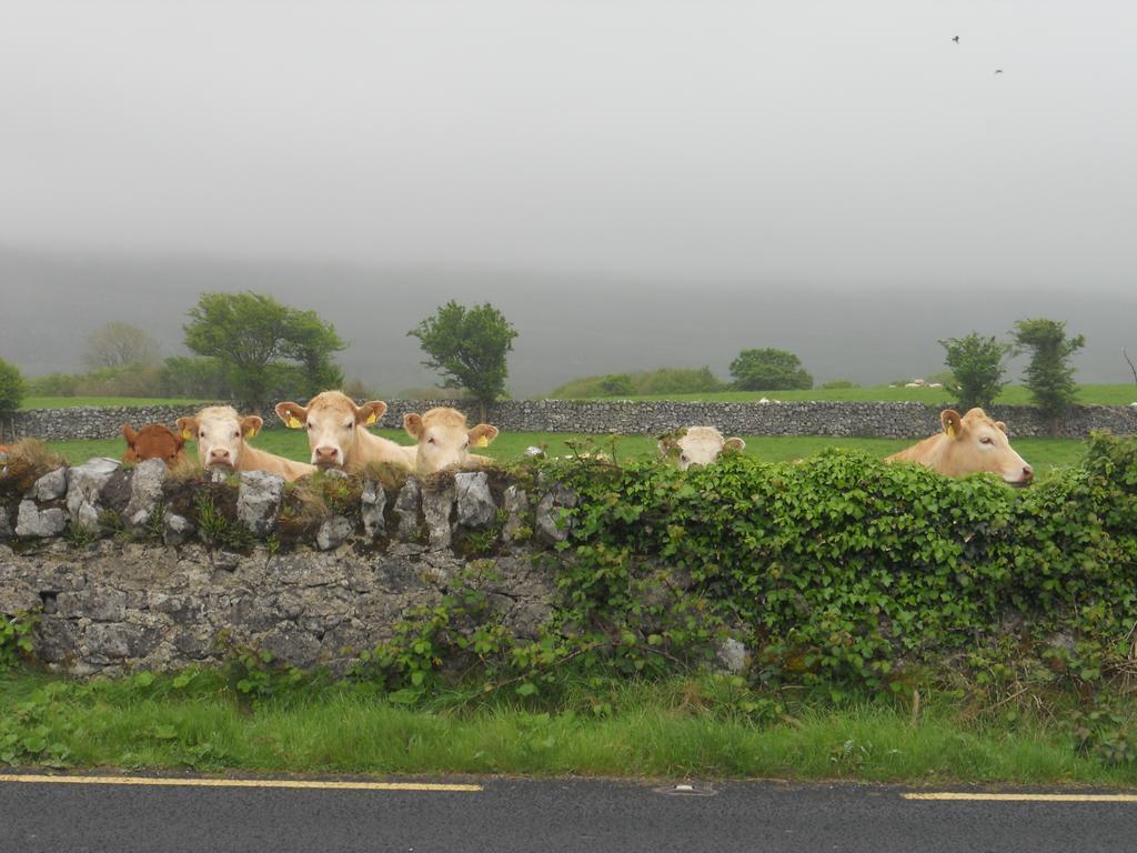 Cappabhaile House Ballyvaughan Zimmer foto
